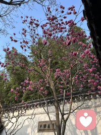 先肯定对方再说自己的感受，比单纯的只说自己的委屈，效果要好的多。