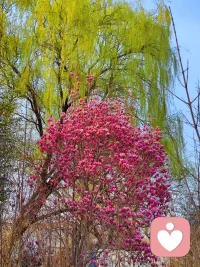 创造共同意义并不是要求伴侣必须有完全相同的兴趣爱好，也不是要抹杀个性。相反，它是关于“尊重彼此的梦想，并愿意为对方的梦想提供土壤”。当伴侣双方都能在关系中感受到“我的人生因为有你而变得更有意义”时，这段关系就拥有了穿越风暴的最强护盾。