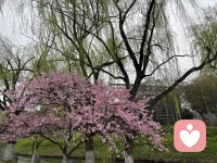 往往执念太深的东西，最后都不属于你。