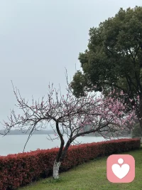 一个人先对自己诚实，再对别人温和。