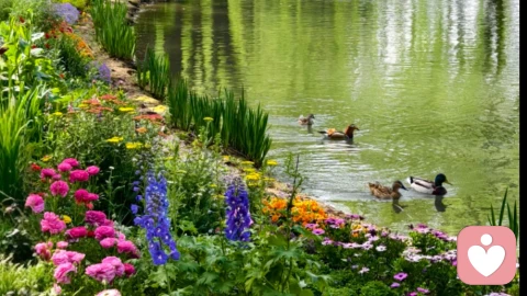 爱上的原来是自己脑补出来的那个人