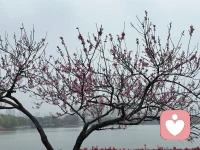 君子断交不出恶言，小人翻脸全是脏水，无论是朋友还是恋人，都代表自己曾经的品味。不管是有的还是没的，都不必逢人再提起，长辞永绝是最好的结果。配图