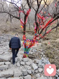 如果注定要向前走的话，那么早走一定要优于晚走。