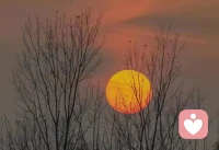 思念一个人到极致会是什么感觉？
是痛。揪心的疼，就像一把钝刀，反复凌迟着我最痛的神经，痛彻心扉。
好像人生不该这样，可我们只能这样。
不是不爱，而是无敌巨爱。
 
曾以为浮世万千，吾爱有三；
可后来才知道，吾爱有三，不得有三：
水中月，镜中花，梦中你。
 
不在你左右，而被你左右。
求而不得，忘而不能。
愿许来风知我意，散我心中意难平。
 
也许生命本是一场又一场的遗忘和开始，
可有些人有些事，我永远不可能忘记。
因为你是我这辈子仅有的执着。
 
世界很大，心却很小，
就只能装得下一个你。
 
这漫长的分离，让我尝尽了想念的苦——
想，很想。
相思的痛——
痛，巨痛。
 
你总在不经意间乱了我的心神。
刹那间，我的身体一部分像死去了。
原来最深的孤独不是没人陪，
而是心里装着一个见不到的人。
 
好想你。
好想你，XZ
 
2026.03.