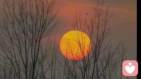 思念一个人到极致