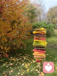 教育孩子的全部奥秘在于，相信孩子，解放孩子
解放孩子的头脑，双手，双足，空间，时间，是他们充分得到自由的生活，从自由的生活中得到真正的教育配图