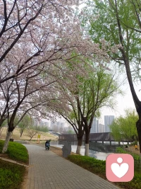 🌷自在如云海行舟，起伏皆是风景。少些对物质的追逐与比较，多些对自我的温柔接纳。当心成为容纳万物的晴空，每个当下都是丰盈的生命力配图