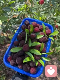 有时候你只是需要一个人，
不评判、不打断、不催促，
安安静静听你把话说完。
 
我在这里，
听你藏在心底的委屈，
接住你没说出口的情绪。
不用逞强，不用懂事，
你可以放心做自己。