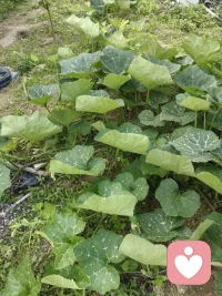 难过时有人听，
委屈时有人懂，
就已经是最好的安慰。