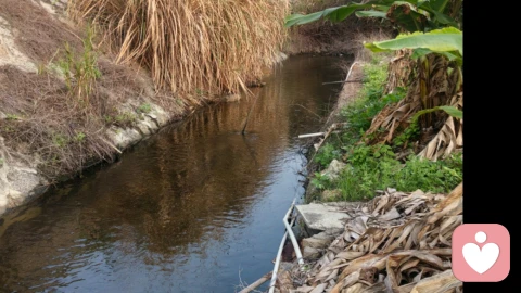 倾听也是一种修行