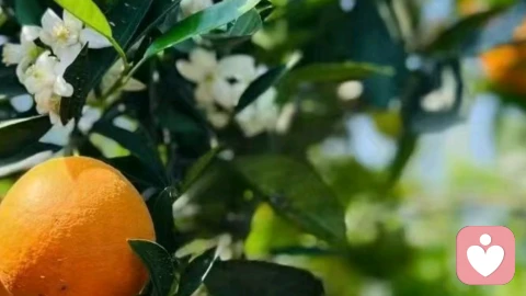 学会敞开心扉，与温暖的自己相遇