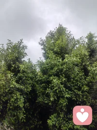 很多人不愿敞开心扉，是害怕不被理解，担心情绪成为别人的负担，更怕付出真心后换来敷衍。于是我们筑起心墙，把难过、迷茫、焦虑统统藏起来，可压抑的情绪从不会消失，只会在心底慢慢堆积，变成沉重的包袱