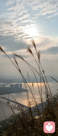 看一些文字或听一个人讲话，总觉得内心温暖会开心，那是因为他的文字和语言在治愈你，某种程度上价值观相同。

有些人初始吸引你，你会觉得他很有魅力，讲的话很对，后面发现只是对了一部分，离真相还很远。

人生不是单纯的学习，更多的是要去生活中不断的体验，悟出属于自己的智慧。

不要人云亦云，学会独立思考，学会深度思考。

有句话叫做人类一思考，上帝就发笑。

上帝不也是人类嘛，只是境界上升到开悟的状态接近神，就算你思考得出的结论是错误的，也比不思考要强。

随着你更多的深入这个世界和对万事万物的洞见，你自然会更多的进行深度思考，那么就更容易看到事物的真相洞见本质，接近道。

人间帝王也是人，人类该有的贪嗔痴慢疑，吃喝拉撒睡，爱别离怨憎会，全部都有，只是掌握了权力的巅峰可以享受世间最好的一切和资源，但相对应要付出的代价也更大。