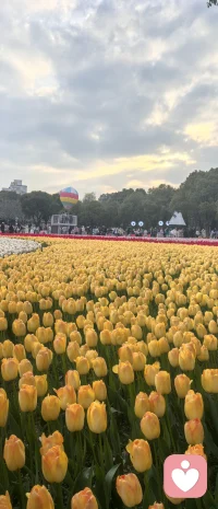 我见过这个世界的黑暗，人心的险恶，但是不会让这些黑暗污染我的心灵。虽然有时候会觉得对世界的看法过于理想化过于简单，但是太过复杂的东西会让人觉得累，况且一个人的能量是最宝贵的，我要保护自己的能量，善待自己的心灵，​所以我选择看到更多的美好。

不过黑暗有时候也能促使人不断成长和前进，因为它能让你看到这个世界的真相和残酷的现实。

没见过黑暗怎么能意识到光明的可贵，没经历过低谷怎么hold的住顶峰的风光无限，站在低处不卑微，站在高处也不自傲，而是保持一颗平常心，因为​万事万物不是二元对立，而是合一的。配图