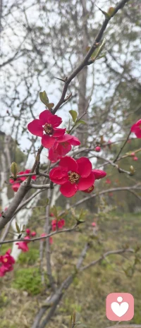 智慧是先知，是预判。

人生的修炼，是为了拥有80岁智慧的大脑，20岁强壮的身体和一颗3岁纯净的心灵。

很多人都活反了，大脑幼稚，身体衰老，内心沧桑。我们要看淡世事沧桑，内心依然有光。我们要大脑高速运转，内心越来越平静。普通人遇到一点问题就炸毛。

高手遇到问题，既不会那么激动，也不会那么低落，而是情绪稳定，心态平和，心有惊雷而面如平湖。高手不是天天活在快乐中，而是天天活在严静中。

是善用心灵的力量，扭转乾坤。配图