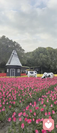 所谓的阶层在我看来都是用来奴役不同的人，其实都是活在各自的牢笼里，貌似到了金字塔尖就非常了不起，底层民众就是万恶之源，中层呢忙忙碌碌于不让阶层滑落。

可是阶层是随时可以变化的，有顶层无良无德之人曾经风光无限到跌落神坛如许家印，有底层逆袭如刘强东朱元璋刘邦。

最缺德的人占据顶端那么危害会非常大，于是就有了上流社会都是下流人，什么钱权名利全都有了，却阻挡不了内心空洞和匮乏，当人活成了禽兽还讲什么上流，不过是一个个被欲望裹挟的下三滥。

占据最好的资源站在最高的位置干着最好的事，有利于人类和社会的发展，这样的人是令人佩服敬重的，是让人高看的，而一个人的起心动念是非常重要的。

有的人用所谓的阶层去傲慢无视比他弱小的人，有的人用利益光环去引诱他人引发人性的贪婪，这样的人又能高级到哪里去。

真正的强弱不是以阶层划分，而是以一个人的人格底色划分的。

当一个人以自己外在拥有的一切光环来标榜自己彰显自己的时候，本质也是不自信，需知倘若有一天这些都没有了，你又是谁，所以当一个人以工具化别人的时候，他也是在工具化自己。

而一个人就算出生底层但有青云志，加于专精于一件事花费足量的时间，哪有不成事的，而一个人酒肉池林守着金山银山也是没用的。

每个人都在创造自己的人生，有的人带着觉知创造自己想要的美好人生，有的人活在恐惧匮乏里创造了贫穷，决定这些的是人的关注力，关注力在哪里结果就在哪里。

而我们有一个过去，一个现在，无数个未来，在当下念头改变的时候，未来就发生了改变。

真正的强者是可以对抗强者，保护弱小的，好比家暴男在外面是个怂包却对家里的妻儿动手，有的男人对外人和颜悦色，对身边最亲近的妻儿却各种不好，这些人不是弱者就是弱智。
​
其实​每个灵魂的来处都是光和爱，但随着松果体和灵性的封印，人们习惯活在恐惧匮乏担心焦虑内疚里…，在体验人生这出大戏的时候常常忘了自己是谁，此生为何而来。

而能区分开不同灵魂的，是每个灵魂维度的高低，高维灵魂具备的是灵性、智慧、慈悲和能量，这些是稀缺的。

倘若一个人什么都以利益去算计，这样的人可能是高敏感的人但绝对不是高灵性的人。

​
​配图