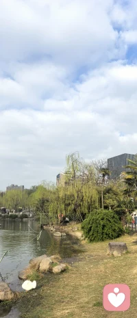 好的感情，不是捆绑，而是各自站立。

“课题分离”是阿德勒心理学给出的答案——分清什么是我的事，什么是你的事。爱一个人，不等于要替他背负所有。他的情绪、选择、人生道路，终究是他的课题；而你的快乐、边界、自我成长，是你的课题。

太多感情的疲惫，源于混淆了界限。你以为牺牲是爱，对方却感到窒息；你以为控制是关心，却不知不觉推远了距离。真正成熟的关系，是亲密有间，靠近时温暖，分开时独立。你能为自己负责，也能允许他为自己负责

这不是冷漠，而是最深的理解：我爱你，所以不替你活；我信任你，所以把属于你的还给你。当我们都能守住自己的课题，关系反而轻盈而长久。

好的感情，是并肩而立的两棵树，根系各自深入泥土，枝叶却在云端相触。彼此滋养，互不吞噬。配图