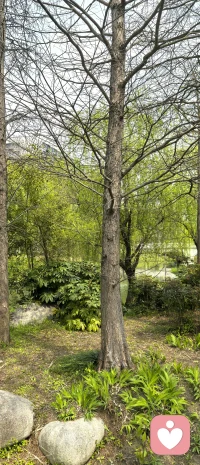 矛盾焦虑型的人会被若即若离、忽冷忽热的人或关系吸引，这和ta们总在怀疑自己是不是不够好、不被爱的最底层的逻辑是相匹配的。

若即若离的最佳搭档永远是患得患失。你的患得患失正是内心那个小时候不被看见、不被稳定爱的小孩，在成年后的关系里，疯狂地、用力地、笨拙地试图抓住一份确定的、无条件的爱。

你把对方的忽冷忽热，误当成了改写童年剧本的机会。你拼命想证明，这一次，如果我足够努力、足够好，我是不是就能让这个“忽冷忽热”的人，变得“始终温暖”？这本质上，是你想穿越时空，去赢得童年时那个情感不稳定的父母始终如一的爱。

你紧抓不放的，其实是一个熟悉的幻觉。而真正的疗愈，不是去修正那个忽冷忽热的人，而是去看见并安抚内心那个焦虑的小孩，告诉ta：现在，你已经长大了。你的存在本身就值得被爱，不再需要靠拼命表现来换取。即使有人对你冷淡，也不能证明你不够好，而只是成年人世界里再正常不过的情绪波动与选择差异。配图