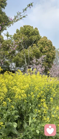 不要和会忽视、拒绝和冷淡你的男人杠上，你杠上的不是对方，而是你自己的创伤。

你试图改造一个会忽视、拒绝和冷淡你的男人，此证明自己值得被爱，以此修复过去的创伤。

可那个男人给不了你这份救赎，他只是一面镜子，照出了你还没有愈合的地方。

真正的疗愈，不是把他变成另一个人，而是你自己弯下腰，抱起那个曾经没有被好好爱的自己，并且开始认真爱她。配图