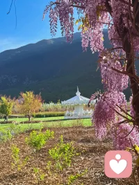 在任何关系里，一味的好，只会滋生出更大的恶。

一个人的善良，永远要以力量和攻击性为依托，以边界和原则为框架，否则善良就变成了毫无底线的软弱和迁就，滋养出得寸进尺、肆意妄为的行径，反而使善良者在关系中遍体鳞伤。 

善良兼备锋芒，你的善良才会被重视，才有价值和意义。