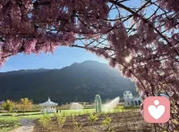 父母不要幻想孩子既有强大的主体性和各种独立功能，同时又对自己听话顺从，永远忠诚。要是希望孩子永远做自己的乖乖宝贝，那么孩子就永远不可能发展出独当一面的能力。

在孩子的自我破土而出的时候，第一个被创飞的人就是父母，父母必须要能承受得住这份冲击和分离，接受自己在孩子的世界里将越来越不重要的过程，学会退位，学会允许和祝福孩子独立自主自由发展自己。

真正能做到这一点的父母，孩子会成长得自信、蓬勃，活出属于他自己的生命力、创造力和活力。 

否则，父母意识里希望孩子好，希望孩子独立，潜意识里却因为孩子的成长而激发出分离焦虑、被抛弃创伤、失控感、自恋受损等，就会在潜意识的引导下拉住、拽住甚至摁住孩子蓬勃向上的生命力，为了保护自己，孩子不得不压抑自己的生命力，自我就永远被封印住了。