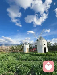 真正的强大不是无所不能，而是接纳自己有所能有所不能。