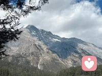 小时候没怎么被爱和关注过的人，进入关系对别人的诉求几乎都是:你来爱我呀，看看我呀，多给我一些爱，给我多多的爱……并且会把大量的精力花在去证明自己上，证明自己好、棒、优秀、有价值、值得被爱，一切的目的都是为了吸引和留住那个爱的目光。

说一个相反的例子，我有一个朋友，小的时候父母亲人给了她很多很多的关注和爱，慢慢长大之后，她周围的人也会给到她很多关注和爱，这让她很有压力，觉得是种沉重的负担，特别希望别人少关注她一些，同时面对别人的好，她好像不会拒绝，似乎不是她想要的她也不能拒绝，这让她相当苦恼。

我觉得这两幅画面，都是关于“爱的流动”与“自我的边界”。但区别在于，前者是持续多年的“饥渴”，后者的困境则是长期的“饱和”。

在匮乏中长大的人，生命仿佛被设定成了一个需要不断被填满的容器。ta们会将很多的关系（伴侣、朋友、权威等）都无意识地转化为“寻求认可”的赛道。ta们的痛苦在于“求而不得”，在于那种永恒的、对爱的深刻不安感。

而被爱浸泡长大的孩子，情况恰恰相反。ta们的容器从小就是满的，甚至时常溢出来。ta们体验到的，不是爱的匮乏，而是爱的淹没感。

也许对于我这位朋友来说，爱成为了一种无处不在的粘稠空气，让她不必争取却时常感到呼吸沉重，旁人的关注与付出对她而言不再是礼物，而是一份难以推却、带着隐形索求的“人情债”。在无微不至的笼罩下，她的自我轮廓渐渐模糊，每个选择都仿佛落在他人期待的目光中，于是“让爱我的人失望”的焦虑，取代了缺爱者“被抛弃”的恐惧，化作另一种对心灵的捆绑。她困在“接受与拒绝”的两难里，接受，意味着不断让渡自我的空间；拒绝，却要对抗巨大的内疚与不安，因为在她的人生经验里，爱就像空气和水，只有“接受”这个默认选项。但“全盘接受”又让她感到自我在被侵蚀。

所以，极度缺爱和极度被爱，有时竟会导致相似的结果，都难以建立清晰、健康的自我边界。前者因为太渴望而不敢设立边界，后者因为边界总是被温柔地侵蚀而不知如何设立。一个怕设了边界就再无爱流入，一个怕设了边界会伤害那些一直爱她的人。

这两种看似相反的诉求，归根结底都指向同一个核心课题：如何在爱与关系中，找到“我”的位置，并坚定而温柔地守护它。

匮乏的人需要学习爱不必靠永无止境的优秀来“赚取”，真实的、不完美的自己就值得被爱。被爱淹没的人则需要学习爱不是义务，不必照单全收；拒绝一部分爱，才能为自己真正的渴望