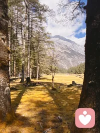 曾有过被抛弃创伤的人，其外在常表现为高冷或疏离，这是一种心理防御机制。这种姿态既是对父母过去伤害的无声抗议，也源于对被爱深感绝望，ta们内心渴望关怀，却因屡次失望而用冷漠掩饰需求，背后隐藏着一个充满恐惧、愤怒与渴望被爱的脆弱自我。

当进入亲密关系时，ta们会不自觉地反复测试对方，试图验证自己是否会被再次抛弃。唯有对方通过考验，人才可能逐渐卸下防备，学会信任与依赖。然而，这种测试往往伴随着情感消耗，容易使对方疲惫，反而可能加速关系的终结。

即使在稳定的关系中，ta们潜意识里仍可能重演“被抛弃”的模式。通过制造矛盾、反复试探或疏远，既在重复熟悉的痛苦，也在索取“无论如何都不离开”的证明。仿佛唯有获得这样坚定的回应，ta们才能逐渐打破旧有模式，建立起真实的安全感。