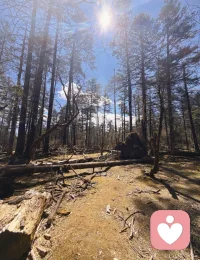 你只有勇敢表达自己的真实心声，别人才知道你的边界和底线在哪里，才会用你期待的方式对待你。

假如你什么都不说，尤其是你感到委屈、不满、愤怒、失望的时候，别人就会默认这么对待你并无不妥，是你可以接受的，别人理解不了你其实已经在委屈退让了。

长此以往，你的边界和底线就会不断被突破，你也会感到不断被消耗。勇敢表达，是你教会别人如何尊重你的第一步。