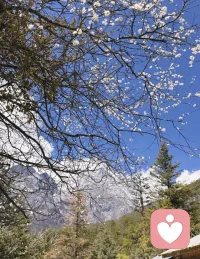 看见并尊重自己的感受和需求，理解、回应并满足自己，允许自己依照真实的意愿生活，这就是爱自己。

你越爱自己，世界就越倾向于爱你。

爱自己不是放纵，而是清醒地为自己负责。它意味着设定界限，拒绝消耗你的人和事，把时间与能量留给真正重要的一切。

当你坚定地站在自己这一边，世界也会给你同样的尊重。你会吸引更健康的关系，获得更清晰的成长方向，由内而外地稳固起来。

真正的改变，始于你能对自己有更多的允许，允许脆弱，允许不完美，允许做不到，允许对外界拒绝，允许自己活成一个有血有肉真实完整的人。