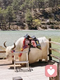 有些人特别爱挑剔、嫌弃别人，这个不够好，那个也不行，在这样的人面前，定力不够强的人总会有种感觉，好像自己永远都达不到ta们的标准，甚至一无是处，哪哪都不行，但请记住这很可能并不是你的问题，往往与你无关。

那其实是ta们内心虚弱的表现。

ta们内心深处对自己的价值充满怀疑，无法确认自己是否“足够好”。为了缓解这种不安，就会下意识地通过贬低他人、否定周围来制造一种对比：“你不行，所以我行。”每一次的嫌弃和指责，其实都暴露了ta们正在经历自我怀疑与内在攻击。

ta们的评判更多反映的是ta们自己的心理需求，而不是客观事实。

你的价值不需要由这样的人来确认。当你能看透这一点，ta们的言语就会失去分量。你可以保持平静，因为你知道：这不是关于你，而是关于ta们自己未能和解的内心。