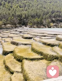 一旦察觉到自己的状态不对，自己要警觉。
你不能因为某些事，某些人，影响太久，耽误自己，人生是长期的竞赛，情绪管理很难，借假修真更难。

淡化困扰的唯一方法就是自省，自救，自修，过于被动，过于较真，是一种心理疾病，不能花太多精力去关注那些杂人杂事，却忽略了修持自己的重要性。

把自己修正，改造得更好，才是自己值得做的事。

减少不切实际的欲望和贪婪， 嗜欲深者天机浅，该断的人事物断掉，优化自己的能量场，提升高维思维，疯狂学习，自救，专注自己的路，好运都在来的路上。