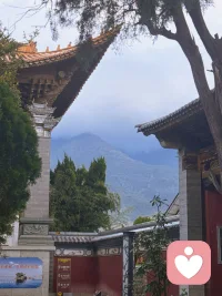 哪怕是远离那些糟糕的不滋养自己的关系，也需要许多的勇气。因为对于有的人来说，糟糕的关系也好过没有任何关系。孤独有时比痛苦更让人恐惧。破碎的关系也好过彻底孤独，糟糕的连接至少能证明自己还在被需要。

其实，我们害怕的常常不是失去关系本身，而是关系结束后必须直面的那个自己。那个未被认可、未被选择、似乎毫无分量、不重要、不被爱的自己。很多人宁愿选择熟悉的煎熬，也不愿面对这种存在感的丧失。

但我们需要明白，如果一段关系让你持续感到不舒服和消耗，那它实际上正在瓦解你存在的根基。真正的连接应当能容纳你的舒展，而不是要求你的蜷缩。离开这样的关系，本质上是选择从“被他人需要”走向“自我确认”的艰难旅程，不是从此不再需要关系，而是开始学习如何与自己建立第一段健康的关系。

当你不再以他人的回应来确认自己的存在，你才能听见内心深处真正属于自己的声音。配图