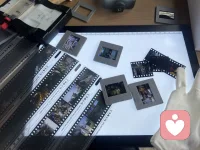 你不用担心，你绽放地活着的时候，会毁灭世界，毁灭地球，因为即便你再绽放，也是有现实边界的，现实中的影响力也是有限的。也许在自恋的幻想中，闪耀会刺瞎别人的眼，但现实中不会。你的攻击性没那么大，不会摧毁外部世界，你可以轻松自在按照自己的心愿活着。配图