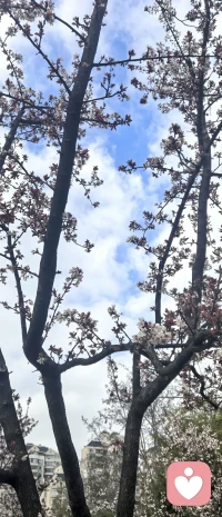 若一个人太追求好，常常会显得软弱无力，也得不到尊重和重视。

一个人要想在关系中能够拥有自己的边界，被尊重和重视，是需要有一点坏、狠和不好惹在身上的，但这对于一个“好人”来说，往往是内心最难跨越的障碍。

ta们早已习惯了将温顺、友善与自我价值绑定，任何带有“攻击性”的自我维护，都会触发其内心强烈的“坏”的恐惧与道德愧疚。

于是，ta们不断出让自己的边界，试图用牺牲换取爱，用退让维系关系，结果却常常适得其反。因为一个没有边界、从不反抗的“好人”，在他人眼中，也常常是一个可以不被认真对待、无需被郑重考量的人。配图