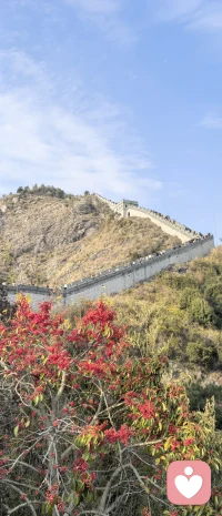 如果你在社交中常常感觉自己不被喜欢，不被欢迎，自己不行，别人都很强，因此常常不敢表达真实的自己，也感觉自己容易受伤，请相信，这些感受并非你与生俱来的真相，而很可能是一套名为“分裂-投射-预设敌意”的心理防御机制，在你内心上演的一场宏大而悲壮的幻觉。它像一面扭曲的镜子，让你在关系中只看见自己的弱小无能与他人的强大完美。其实不是你不够好，而是你的内心，早已为自己写好了“不被喜欢”的剧本。

真正的强大，不是永不示弱，而是有勇气接纳自己的软弱；真正的安全，不是预知所有风暴，而是相信自己能够穿越风暴。当你真正开始觉察并疗愈自己，你会发现，外在的世界并非你想象中那般危机四伏，而真实的你，远比那个躲在防御背后的“弱小自我”更加完整、坚韧和值得被爱。配图