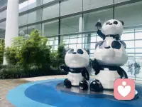 一个人能给自己最好的抱持是：没做好时，不骂自己，不羞辱攻击自己，不嫌弃否定自己，而是仍然陪伴自己，理解自己，关照自己。配图