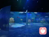 经常做噩梦，到底预示着什么？
原因有三：
1、和创伤、性格有关。
《睡眠百科》这本书提到：
噩梦并不能预知未来，而是主要与性格和压力有关。

大多数人梦里的创伤内容，
都是生活中遭遇过的困难事件，
比如父母离异、亲人去世、车祸现场、失恋/离婚、工作危机......而少部分“睡眠瘫痪症”患者的创伤，就是梦境本身。

敏感、有创造力且想象力丰富的人，更容易做噩梦。

噩梦里藏着内心最恐惧的秘密，
越不敢凝视内心的“深渊”，
便越会在梦中与之相逢。

2、经常做噩梦和身心压力有关。
疾病、压力等因素压迫身心，
使我们感到恐惧、焦虑，
这些负面情绪不分白天黑夜涌现，
超出正常人的承受范围时，
就会通过做噩梦的情绪呈现。

3、经常做噩梦意味着长期感受不到快乐。
大脑缺少带来快乐的多巴胺，
人就会长期做活灵活现的噩梦。

从噩梦里，
看见自己的情绪问题。
美国神经科学家马修 · 沃克认为：
噩梦的一种重要功能，
就是抚平白天积累的负面情绪。

研究发现：给噩梦想象一个好结局，
能够有效缓解噩梦造成的焦虑感。
试着把它升华一下，
说不定会带来意料之外的惊喜。

精神分析学派创始人弗洛伊德说：
“梦的内容是由于意愿的形成，
其目的在于满足意愿。”

无论好梦、噩梦，都是潜意识的反映，
我们需要从中找到揭示内在意愿的钥匙，
打开了解自己的大门。

梦不同于生活中的其他物品，
它不属于别人，
而是真正独属于我们自己。配图