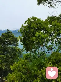 人生有得就会有失，你得到了你想要的，或许却失去了自由与本心。想要生活轻松一点，就只能给自己减负。减所想与所得！配图