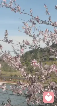 一生牛马不得闲
得闲己与山共眠
与山共眠𣎴想虑
只想随心走世间