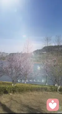 一生牛马不得闲
得闲己与山共眠
与山共眠𣎴想虑
只想随心走世间