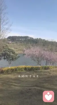 一生牛马不得闲
得闲己与山共眠
与山共眠𣎴想虑
只想随心走世间