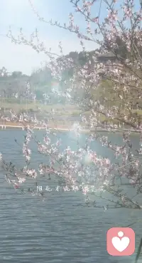 一生牛马不得闲
得闲己与山共眠
与山共眠𣎴想虑
只想随心走世间