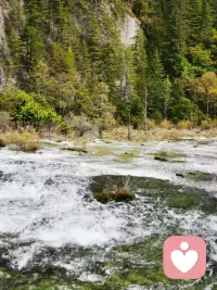 一直站在树上的鸟，从不会害怕树枝断裂，它相信的不是树枝，而是他自己的翅膀！
只要你行动，你的脑子自然会开始浮现计划，脚踏实地的感觉也会带给你自信。这么一来你心中“担心自己不会成功的不安和寂寞”想必也能渐渐缓和下来！
（下面的图是我旅游自拍的，一起乐呵乐呵吧）配图