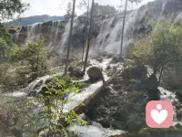 一直站在树上的鸟，从不会害怕树枝断裂，它相信的不是树枝，而是他自己的翅膀！
只要你行动，你的脑子自然会开始浮现计划，脚踏实地的感觉也会带给你自信。这么一来你心中“担心自己不会成功的不安和寂寞”想必也能渐渐缓和下来！
（下面的图是我旅游自拍的，一起乐呵乐呵吧）配图