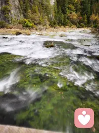 一直站在树上的鸟，从不会害怕树枝断裂，它相信的不是树枝，而是他自己的翅膀！
只要你行动，你的脑子自然会开始浮现计划，脚踏实地的感觉也会带给你自信。这么一来你心中“担心自己不会成功的不安和寂寞”想必也能渐渐缓和下来！
（下面的图是我旅游自拍的，一起乐呵乐呵吧）配图