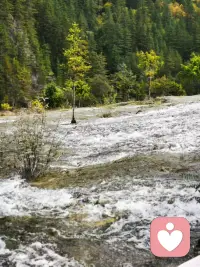 一直站在树上的鸟，从不会害怕树枝断裂，它相信的不是树枝，而是他自己的翅膀！
只要你行动，你的脑子自然会开始浮现计划，脚踏实地的感觉也会带给你自信。这么一来你心中“担心自己不会成功的不安和寂寞”想必也能渐渐缓和下来！
（下面的图是我旅游自拍的，一起乐呵乐呵吧）配图