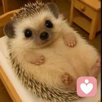 心里堵得慌，又没人可说？
说出来怕被嘲笑，憋着又太难受。
 
不用伪装、不用解释、不用顾及。
在这里，你只管放心倾诉。
认真听，认真懂，认真陪你走出来。
 
私信我，把情绪交给我。
你值得被好好倾听。配图