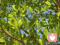 有心事就和我说，我会认真当你的倾听者，这话永远作数。配图