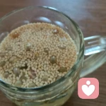 被风所忘的头像